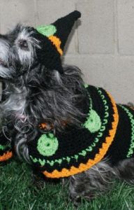 Dog's Witch Costume