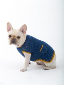 The Casual Friday Dog Sweater