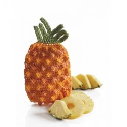 Pineapple Dishcloth