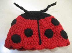 Ladybug Hat