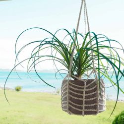 Easy Plant Hanger