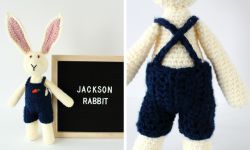 Jackson Rabbit: Bunny