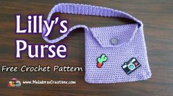 Lilly's Little Jean Purse