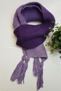 Ombre Scarf