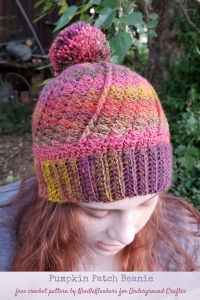 Pumpkin Patch Beanie