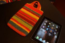 Felted iPad Mini Case Cover