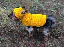 Small Dog Hoodie Sweater