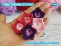 Tiny Petunia Flower