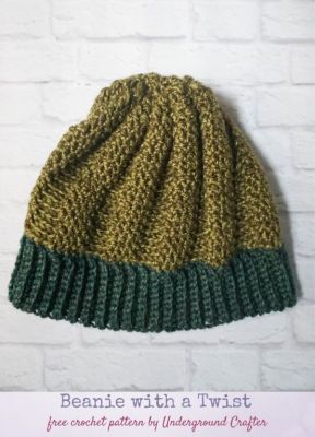 Beanie With A Twist