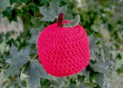 Baby Apple Hat