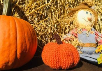 Adorable Crochet Pumpkin