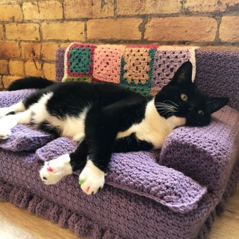 Red Heart Kitty Couch