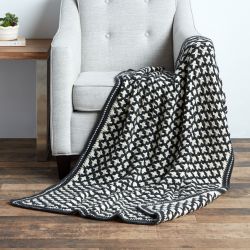 Caron Reversible Geometric Blanket