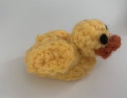 Tiny little duck