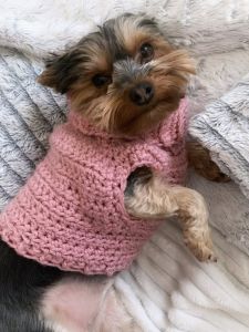 Minnie’s turtleneck dog sweater