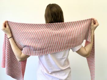 Seeing Stripes Shawl