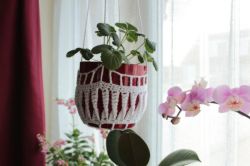 Twisted Crochet Plant Pot Cover