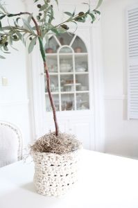 Basket for a Potted Plant