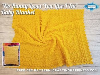 No Bunny Loves You Like I Do - baby blanket