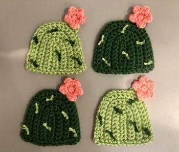 Cactus Coaster Set