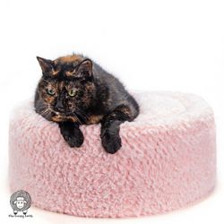 Pawsitively Cozy Crochet Cat Bed