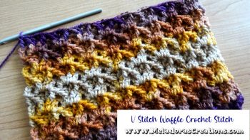 V Stitch Waffle Crochet Stitch