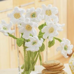 Daisy Bouquet