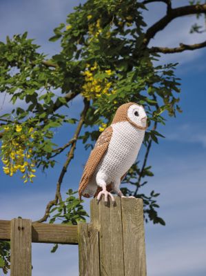 Barn Owl by Vanessa Mooncie