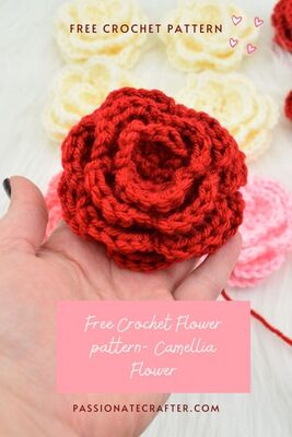 Beginner-friendly Camellia Flower