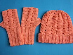Winter Cozy Beanie Hat and Gloves