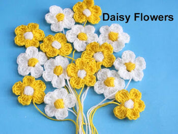 Super Fast Daisy Flowers