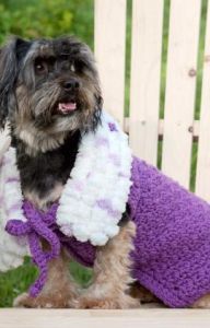 Purpleicious Dog Coat