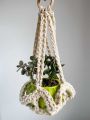 Faux Macrame Hanging Planger