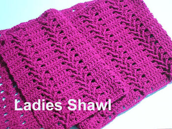 Woman's Beautiful Shawl/Scarf