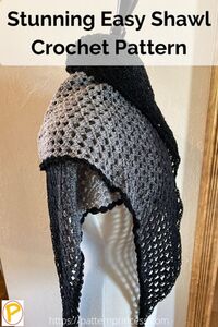 Stunning Easy Shawl