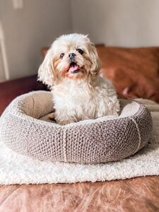 Modern Crochet Dog Bed