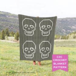 C2C Skull Crochet Blanket