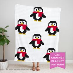 C2C Penguin Blanket