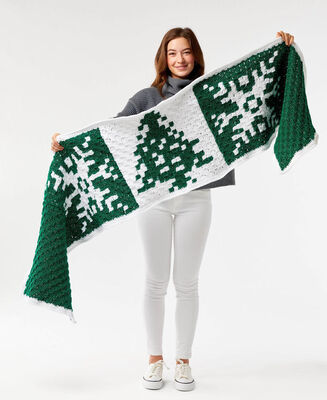 Winter Wonderland Scarf