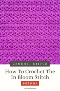 How To Crochet The In Bloom Stitch