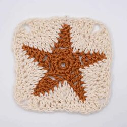 How To Crochet A Star Granny Square