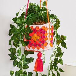 Granny's Hanging Garden