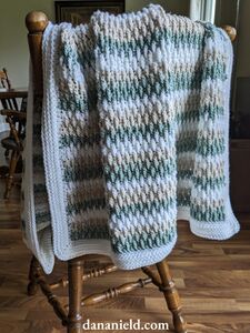 Tricolor Alpine Stitch Baby Blanket With Camel Stitch Border