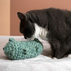 Pickle Cat Toy