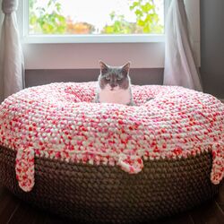 Ask Me to Wake Up Pet Bed