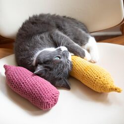 Ketchup and Mustard Pet Toys