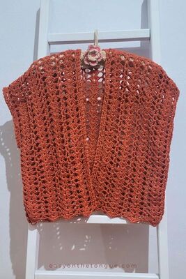 Sunset Lace Beginner Cardigan