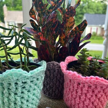 Cozy Alpine Plant Pot Cover