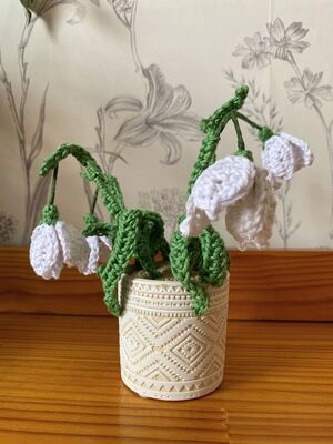 Nana's Snowdrops