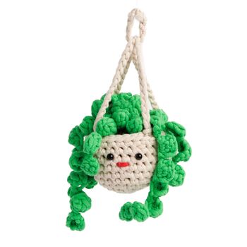 Hanging Plant
